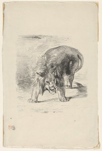 Lev stojící, 1833, 1833. od Eugène Delacroix