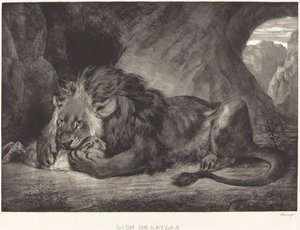 Lev z pohoří Atlas (Lion de l
