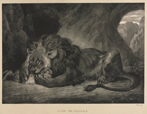 Lev z pohoří Atlas od Eugène Delacroix