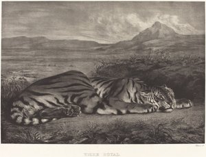 Královský tygr (Tigre Royal) od Eugène Delacroix