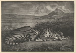 Královský tygr, 1829., 1829. od Eugène Delacroix