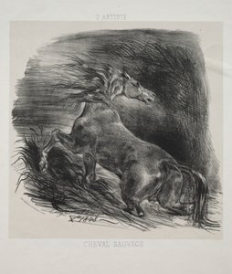 Divoký kůň aneb Splašený kůň opouštějící vodu od Eugène Delacroix