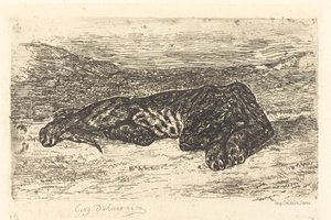 Tygr spí v poušti od Eugène Delacroix
