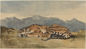 Tygr, c. 1830. od Eugène Delacroix