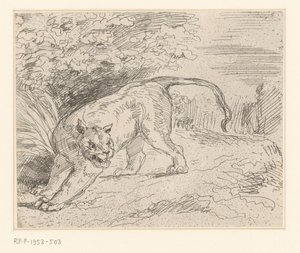 Tijger Tygr v zastavení od Eugène Delacroix