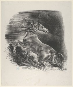 Divoký kůň, 1828., 1828. od Eugène Delacroix