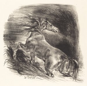 Divoký kůň vycházející z vody (Cheval sauvage) od Eugène Delacroix