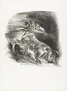 Divoký kůň aneb Splašený kůň opouštějící vodu od Eugène Delacroix