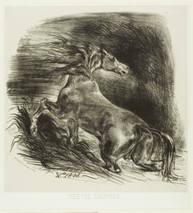 Divoký kůň nebo splašený kůň opouštějící vodu od Eugène Delacroix