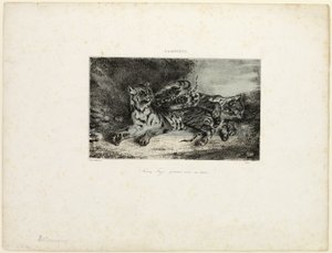 Mladý tygr si hraje se svou matkou od Eugène Delacroix