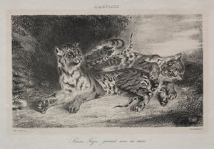 Mladý tygr si hraje se svou matkou od Eugène Delacroix