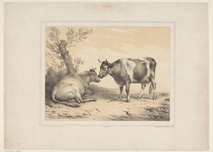 Twee koeien Různé tamme dieren (název série) Třináct domácích a původních zvířat (název série) od Eugène Verboeckhoven