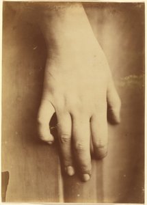 Studie ruky od European 19th Century