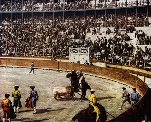 Španělský býčí zápas (foto) od European Photographer