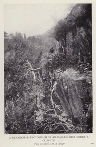 Pozoruhodná fotografie orlího hnízda pod vrcholem útesu (č/b foto) od European Photographer