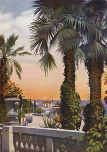 Opatství, nyní Opatija v Chorvatsku: Pohled na palmy z hotelu Bellevue (foto) od European Photographer