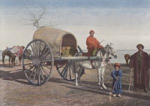 Pochodový Bokharian Chariot od European Photographer