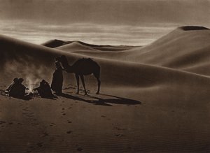 Večer v poušti (čb fotografie) od European Photographer