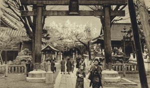 Japonsko, ulice v Tokiu, čas rozkvětu třešně (č/b foto) od European Photographer