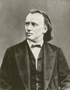 Johannes Brahms, portrét, asi 1876 (čb fotografie)