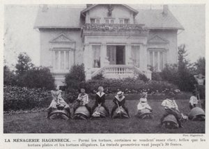 La Menagerie Hagenbeck (černobílá fotografie) od European Photographer