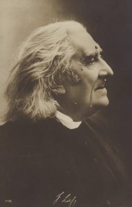 Portrét Franze Liszta od European Photographer