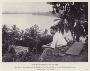 Livingstone dneška (černobílá fotografie) od European Photographer