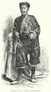 Lama of Lassa (rytina) od European School