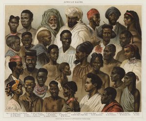 Africké rasy od European School