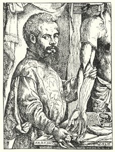Andreas Vesalius (rytina) od European School
