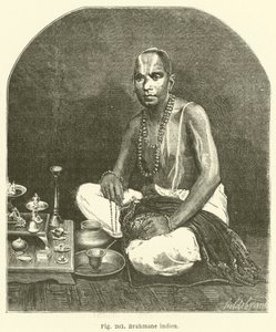 Brahmins Indie (rytina) od European School