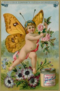 Butterfly Cherub s sedmikrásky
