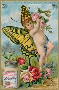 Butterfly Cherub s červenými růžemi
