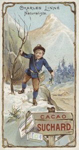 Carl Linnaeus, švédský botanik a zoolog, jako dítě od European School