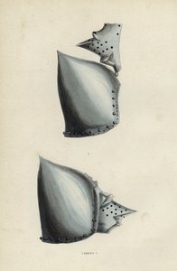 Casques (barevné rytí) od European School