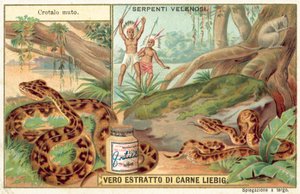 Copperhead (chromolitho) od European School