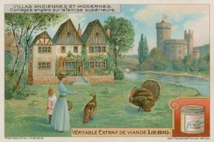 Anglické chaty na horní Temži od European School