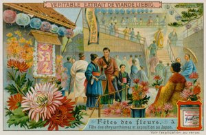 Festivaly chryzantém v Japonsku od European School