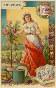 Zahradnictví od European School