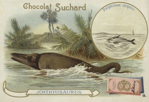 Ichtyosaurus a delfín obecný od European School