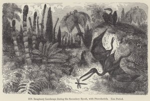 Imaginární krajina během sekundární epochy, s pterodaktyly, období Lias (rytina) od European School