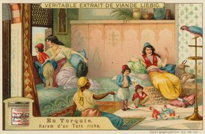 Uvnitř harému bohatého Turka od European School
