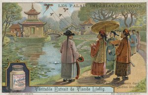 Festival pouštění draků v císařských zahradách v Číně od European School