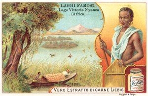 Viktoriino jezero, Afrika (chromolitho) od European School