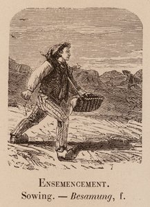 Ilustrativní slovník: Setí; Setí; Besamung (rytina) od European School