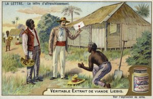 Letter of enfranchisement od European School