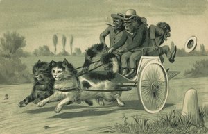 Opice jedoucí v kočáře taženém dvěma kočkami (litografie) od European School