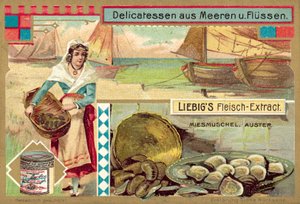 Mušle a ústřice (chromolitho) od European School