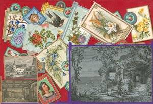 Stránka ze Sammelsurium, svazek IX (tištěný materiál) od European School
