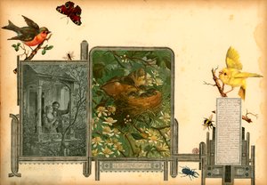 Stránka ze Sammelsurium Volume I (tištěný materiál) od European School